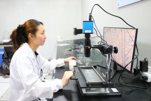 最美生產線 走進中紡聯檢上海，探索檢驗技術服務的卓越之旅